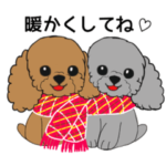 レッドとグレーシルバーの仲良しトイプー