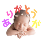 とっちゃん坊や。