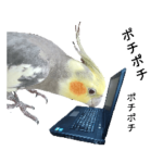 鳥好きの日常便利絵文字