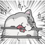 ブチギレジャンガリアンハムスター