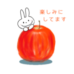 りんご色のワンピースうさぎ