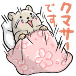 クマサー その１