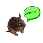 でぐでぐデグーさん