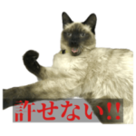 THEネコスタンポ文字入り