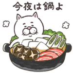 目付きの悪い猫 冬