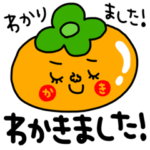 秋のセットパック