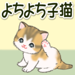 よちよち子猫の毎日