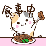 お茶目な三毛猫のメッセージ