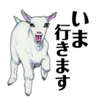 仔羊さんとお仲間