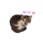 みやしたちびちゃん