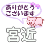 宮近「みやちか」さん専用。日常会話