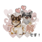 うにちゃんと、ほたてくん。