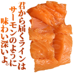 全てを肯定するサーモン