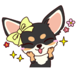 いやしの日常 チワワ 冬編