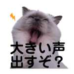 ルルのスタンプだよ。