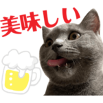 もちゅうにゅ②