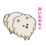 可愛い犬の年末年始のご挨拶