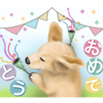 さすが！ゴールデンレトリバー♡よく使う