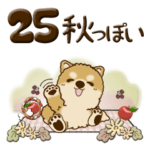 ちゃちゃ丸 25『秋ですねー』