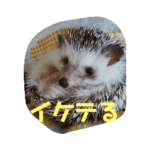 ハリネズミちいたろー2