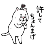 目付きの悪いネコ