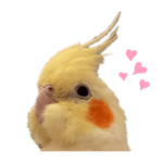 かわいんこ大集合