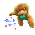 江川家のおちゃ・ぶら・愛空