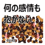 タピオカと日常会話 ver14