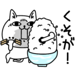 じろりねこ毒舌２割くらい