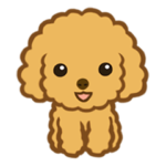 可愛いプードル♡ 明るいあゆみさん