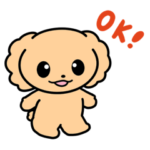 株トイプーのプーちゃん