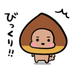 トイプードルのビビ♡秋