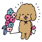 もふもふトイプードルの日常会話スタンプ