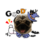 ハロウィン！パグスタンプ