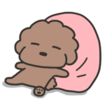 トイプードルのビビ 3