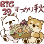 ちゃちゃ丸 39『すっかり秋ですね』