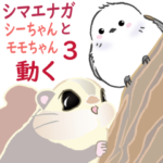 シマエナガ☆シーちゃんとモモちゃん