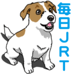 毎日JRT（ジャックラッセルテリア）