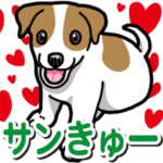 わんこ日和ジャックラッセルテリア 4