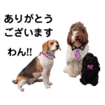 我が家のかわい子ちゃん's STAMP 第五弾