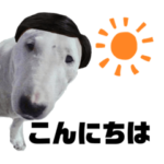 JRT73ズランプ　第３弾