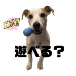 JRTネイビースタンプ②