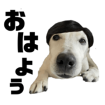 JRT73ズランプ　第２弾