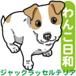 わんこ日和ジャックラッセルテリア