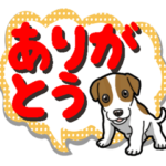 わんこ日和ジャックラッセルテリア 8