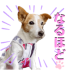 JRTチャピくあロッシ第2弾