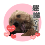 ラムちゃん✨✨