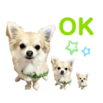 ラムちゃんスタンプ⭐︎⭐︎