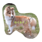 ラムちゃんSpecial 2