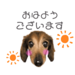 リルラちゃん by晩ママ